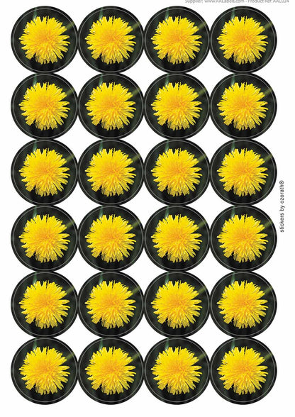 A picture of an A4 sheet of matte paper stickers