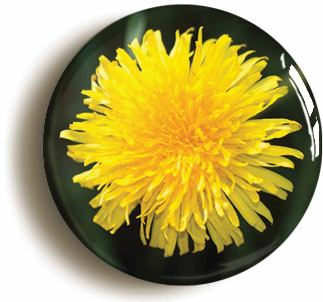 A picture of the front of the product, titled Dandelion Flower Circular 50mm Fridge Magnet
