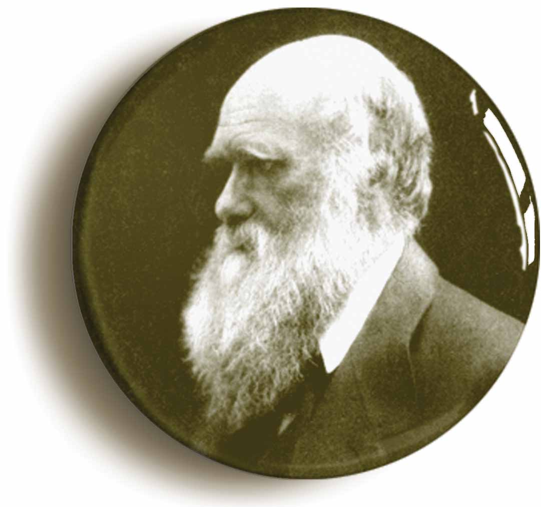 A picture of the front of the product, titled Scientist Charles Darwin Circular 50mm Fridge Magnet