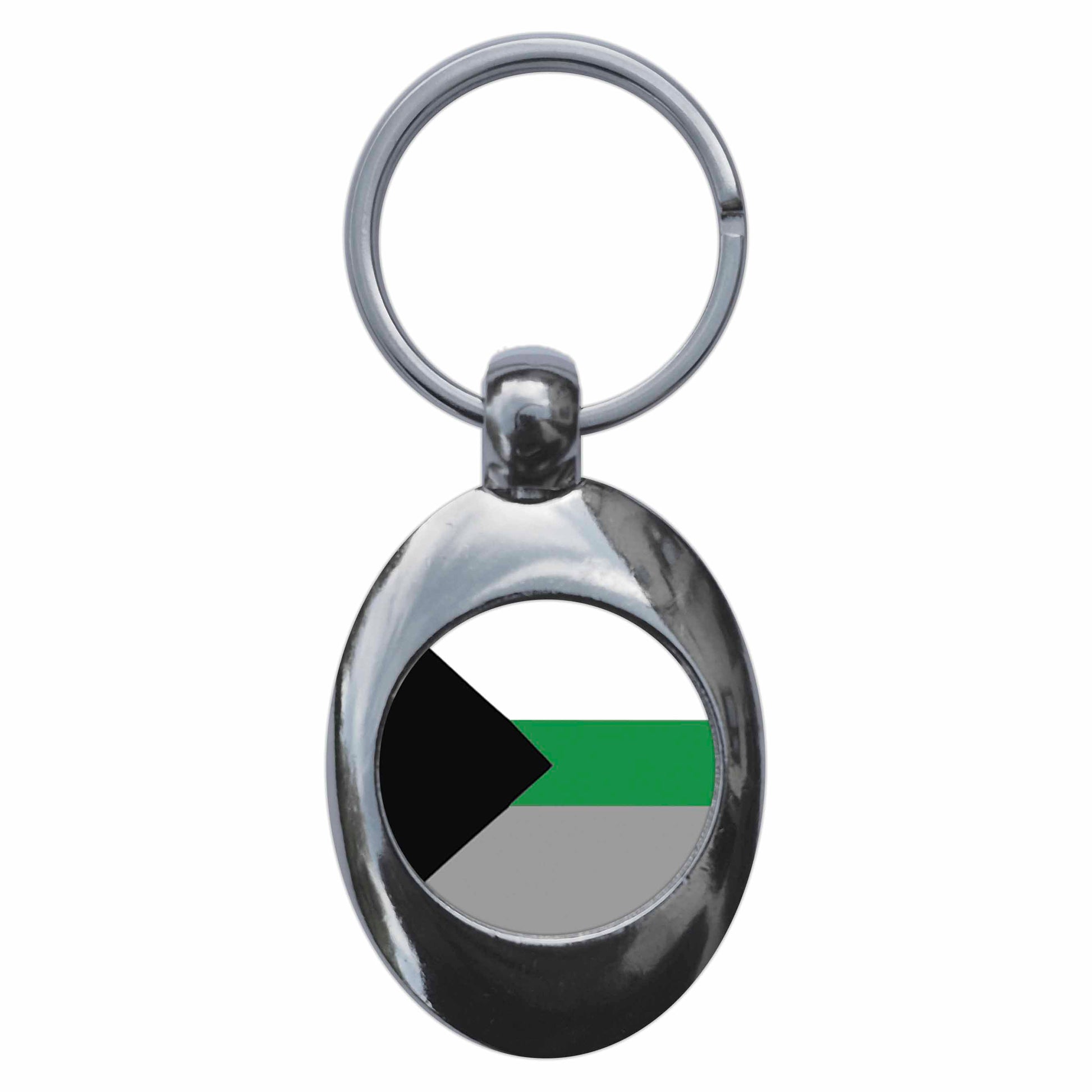 A picture of the front of the product, titled Demiromantic Pride Flag Metal Keyring With Trolley Coin