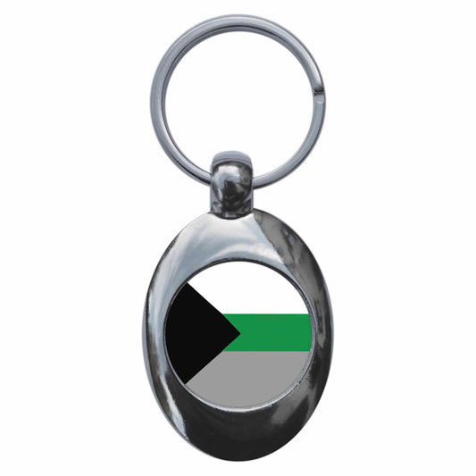 A picture of the front of the product, titled Demiromantic Pride Flag Metal Keyring With Trolley Coin