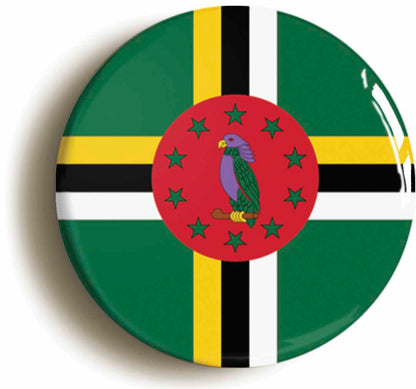 A picture of a button badge