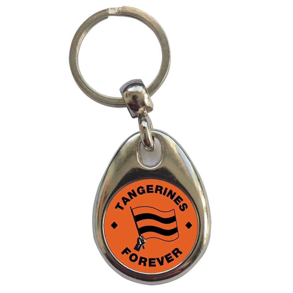 An image of a plain metal keyring
