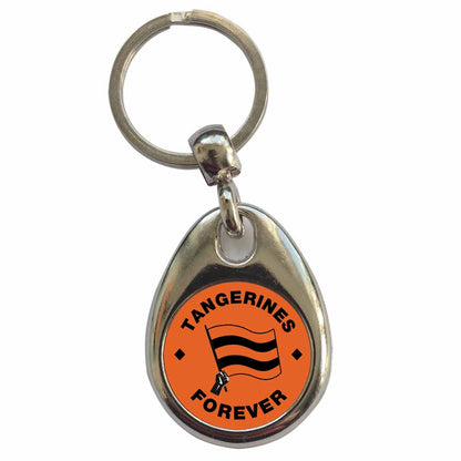 An image of a plain metal keyring