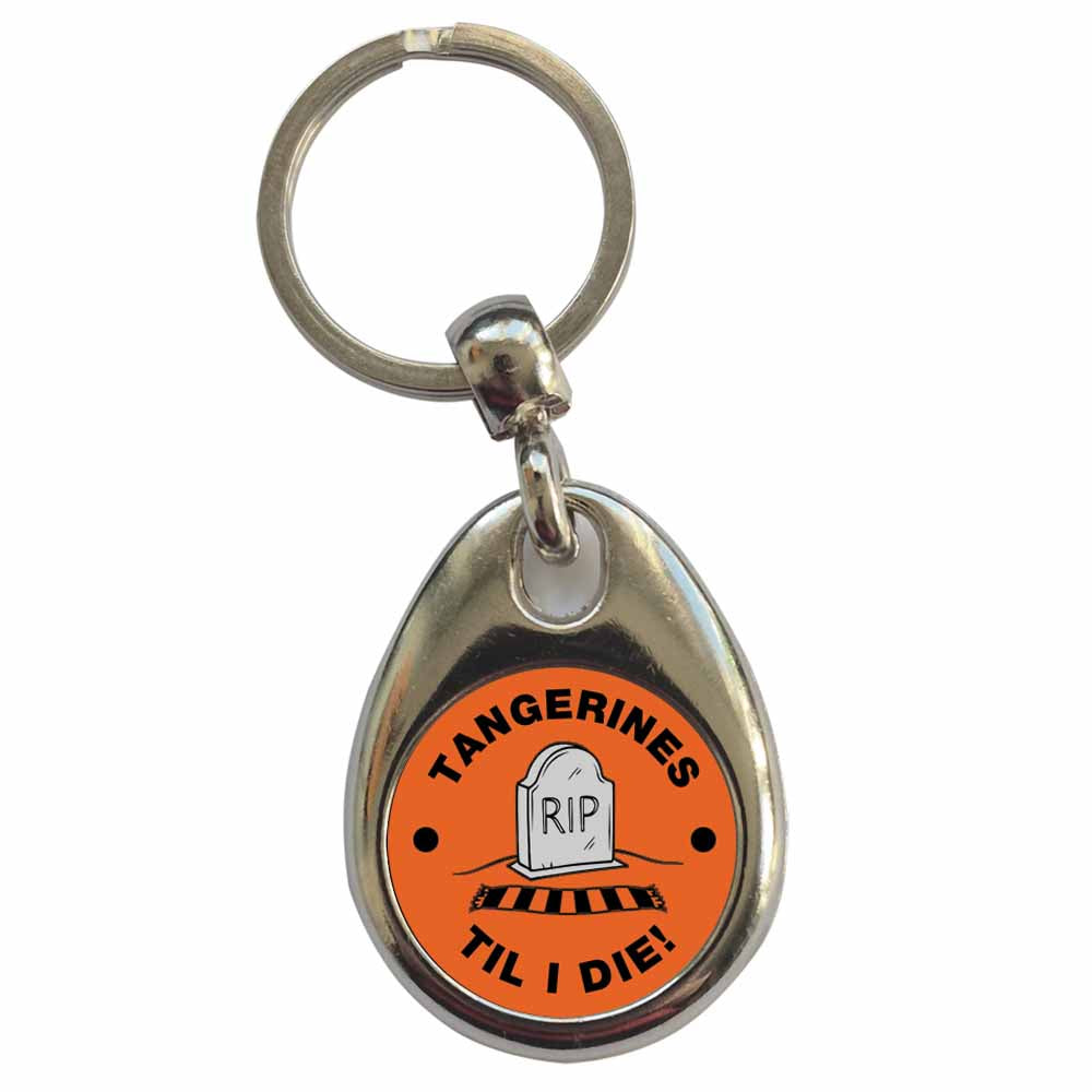 An image of a plain metal keyring