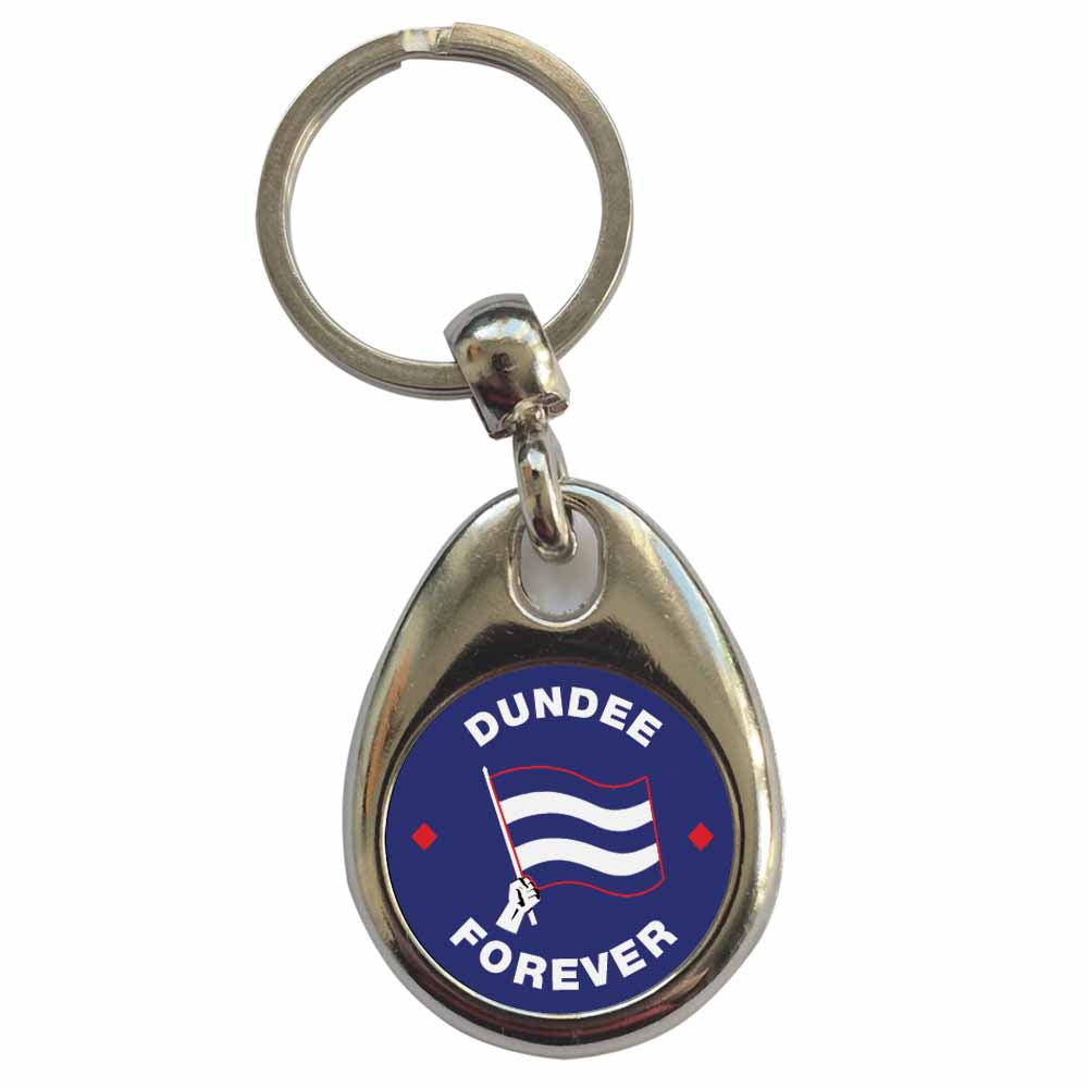 An image of a plain metal keyring