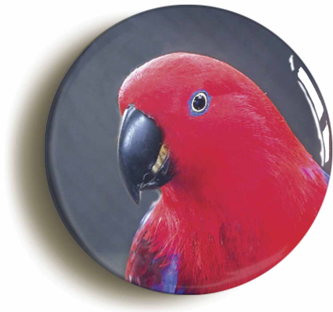 A picture of a button badge