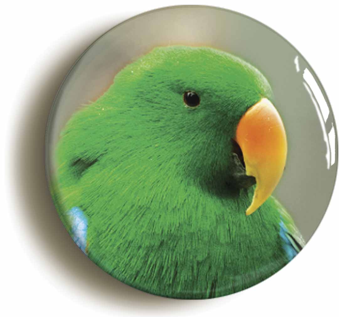 A picture of a button badge