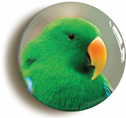 A picture of a button badge