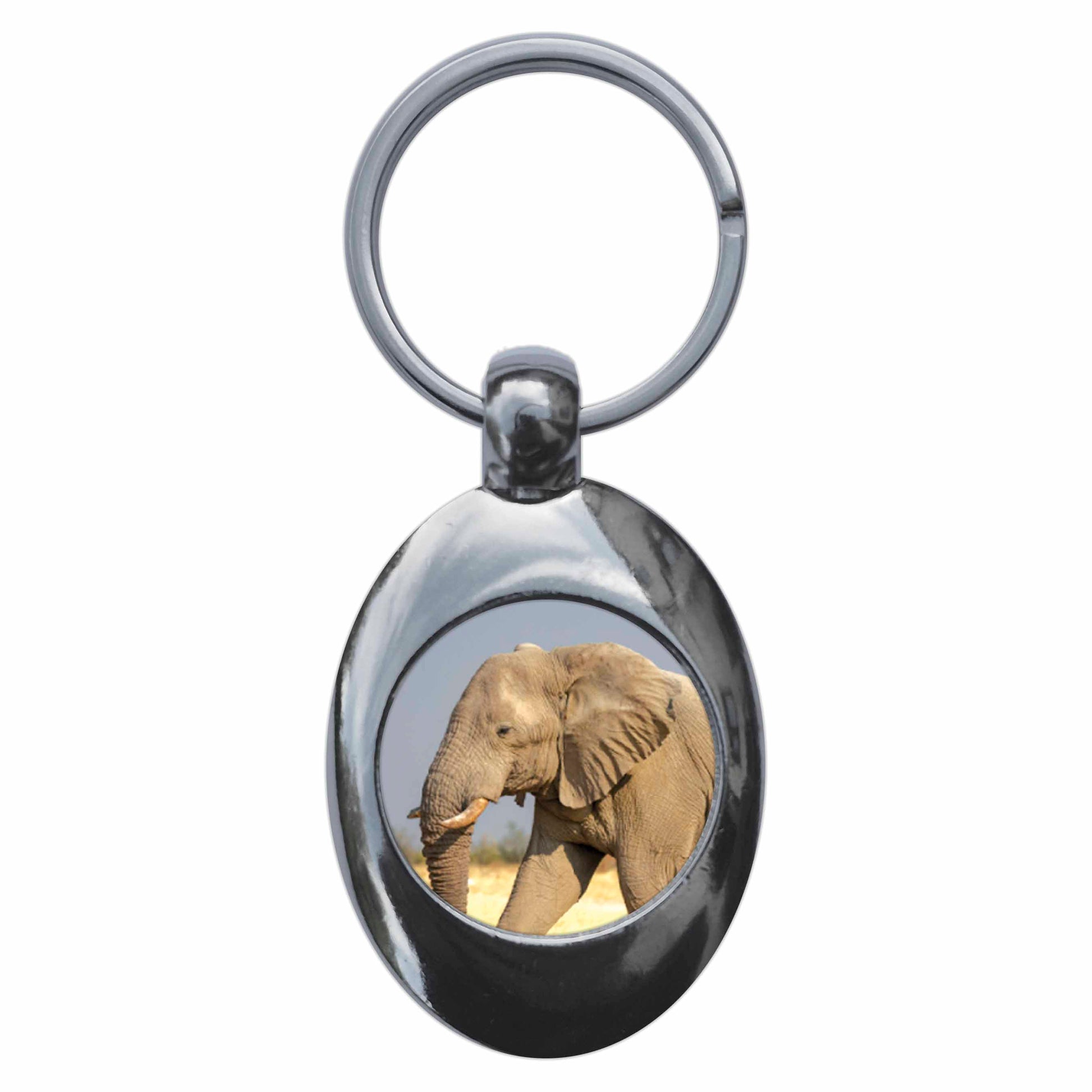 An image of a keyring