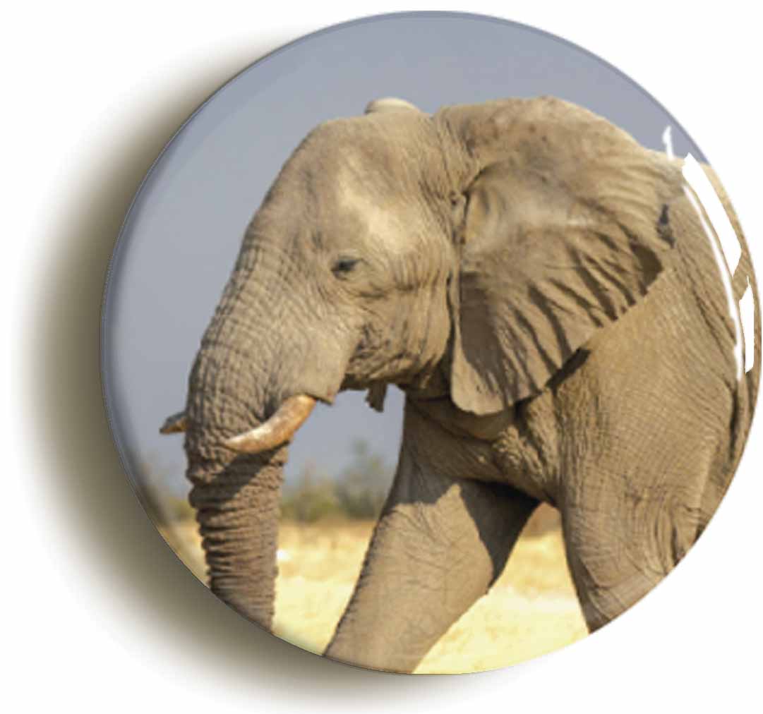 A picture of a fridge magnet