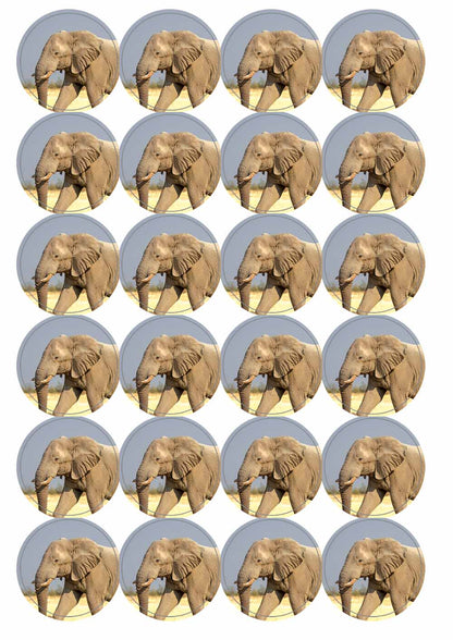 A picture of an A4 sheet of matte paper stickers