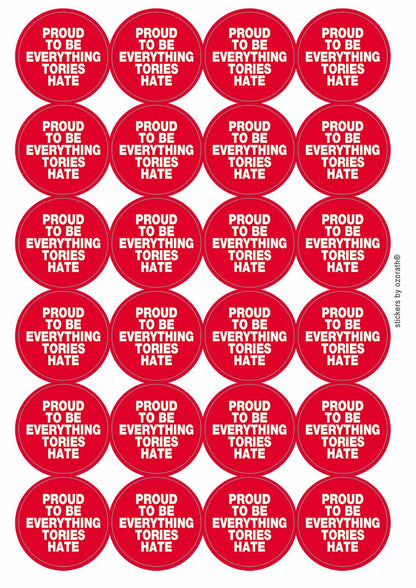 A picture of an A4 sheet of matte paper stickers
