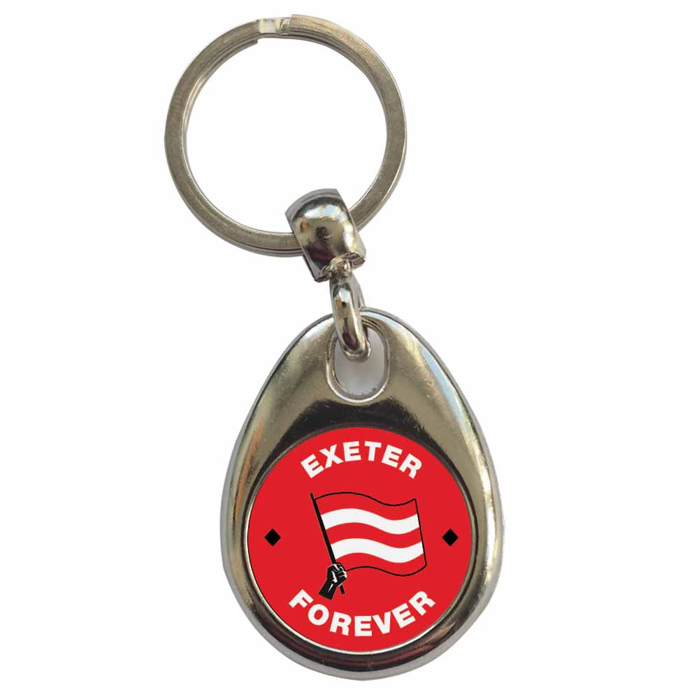 An image of a plain metal keyring