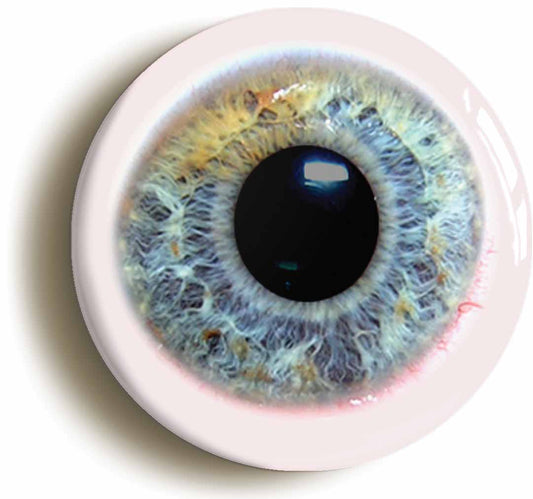 A picture of the front of the product, titled Human Eyeball Funny Quirky Button Pin Badge