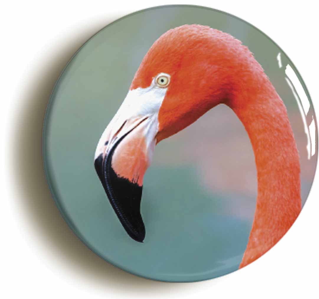 A picture of a fridge magnet