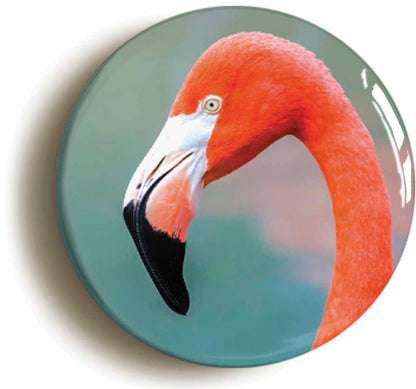 A picture of a fridge magnet