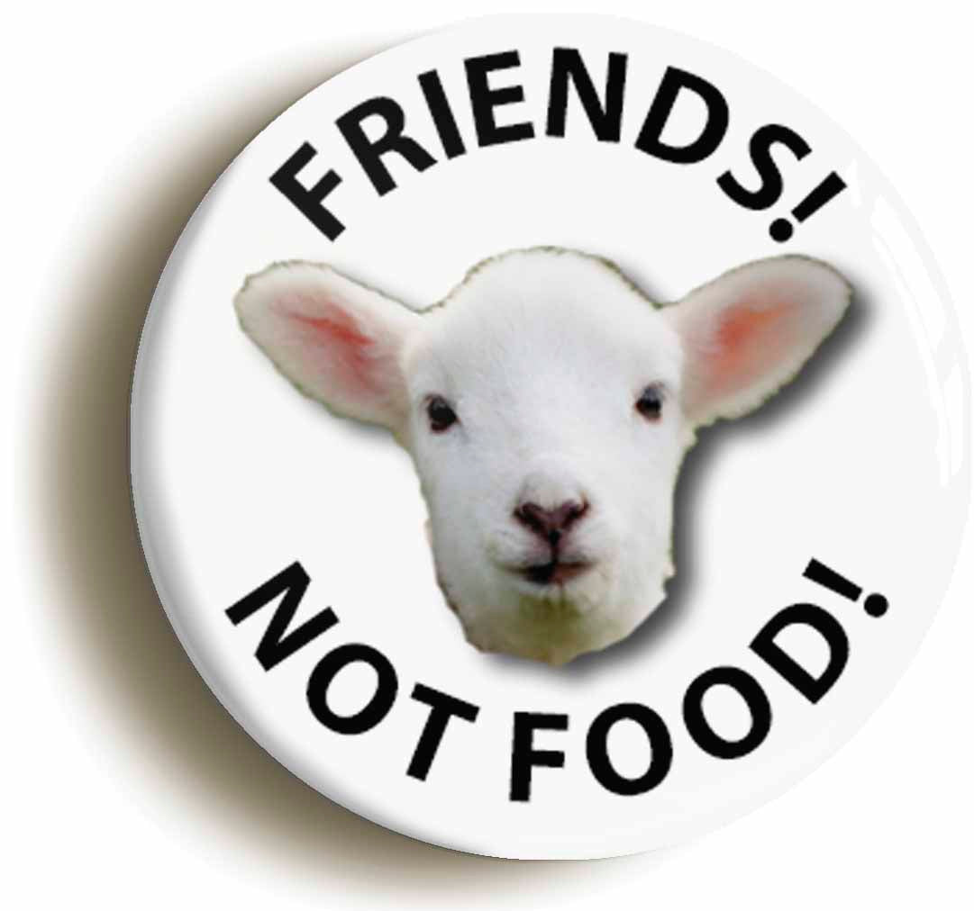 A picture of a button badge