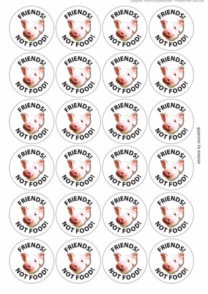 A picture of an A4 sheet of matte paper stickers