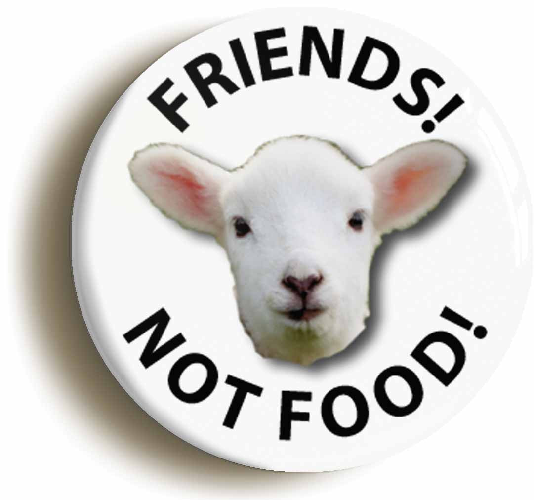 A picture of the front of the product, titled Friends Not Food Lamb Vegetarian Button Pin Badge