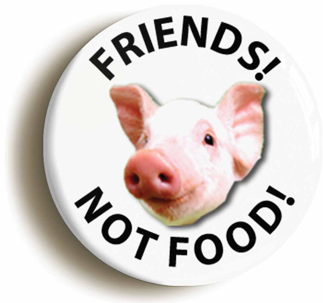 A picture of the front of the product, titled Friends Not Food Pig Vegetarian Button Pin Badge