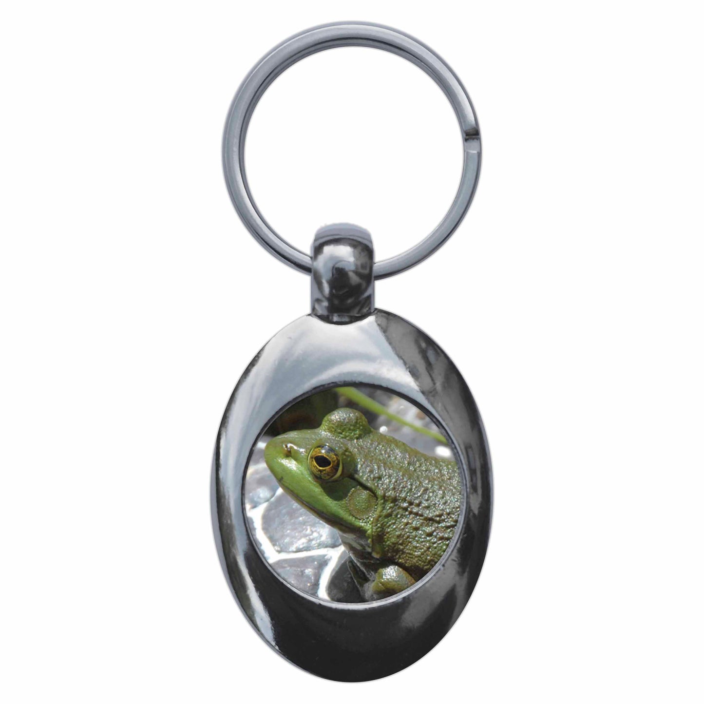 An image of a keyring
