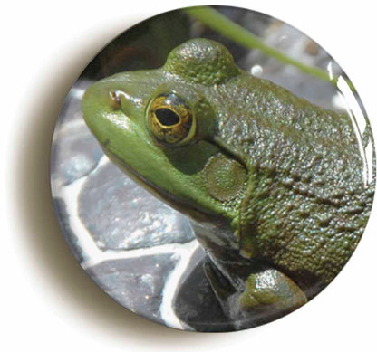 A picture of a button badge