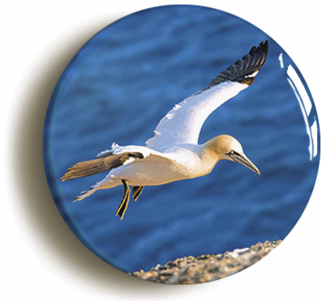 A picture of a fridge magnet