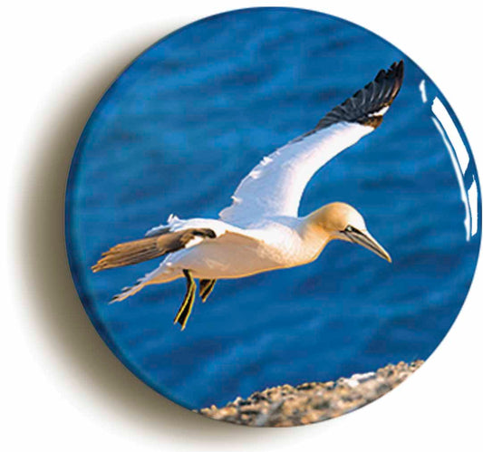 A picture of a fridge magnet