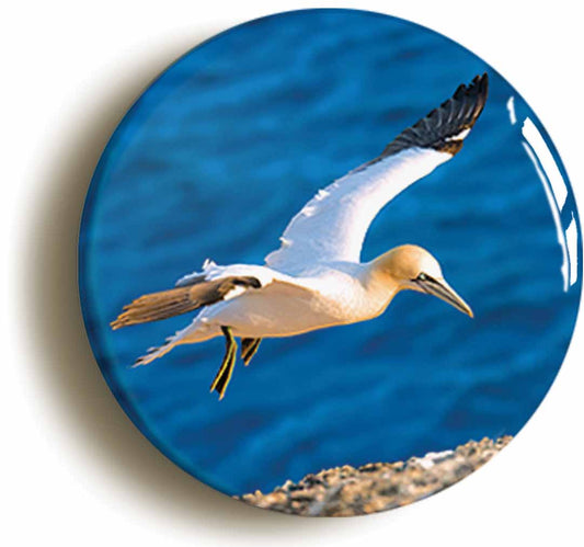 A picture of the front of the product, titled Gannett Circular 50mm Fridge Magnet