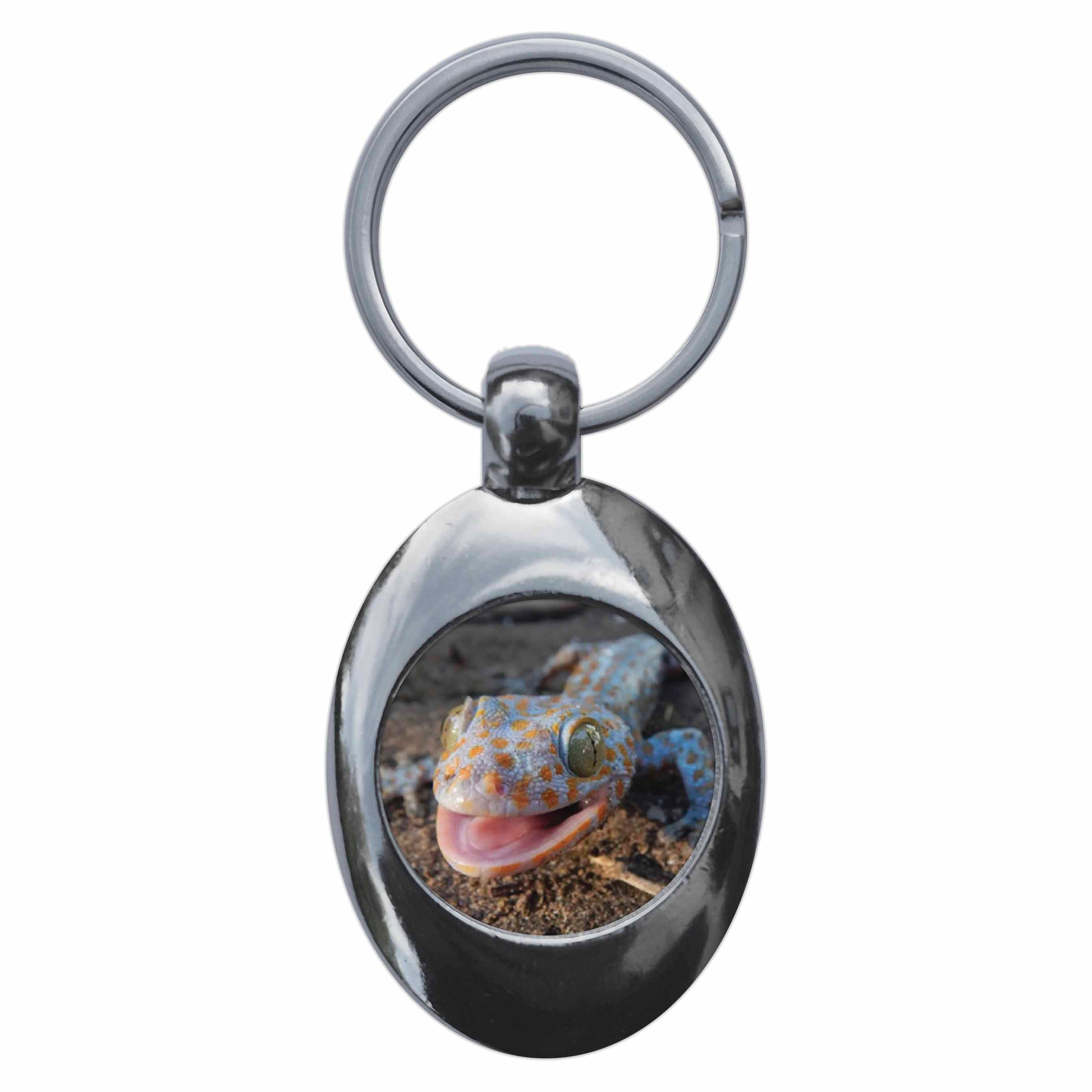 An image of a keyring