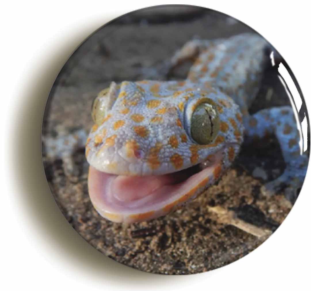 A picture of a fridge magnet