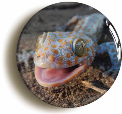 A picture of a fridge magnet