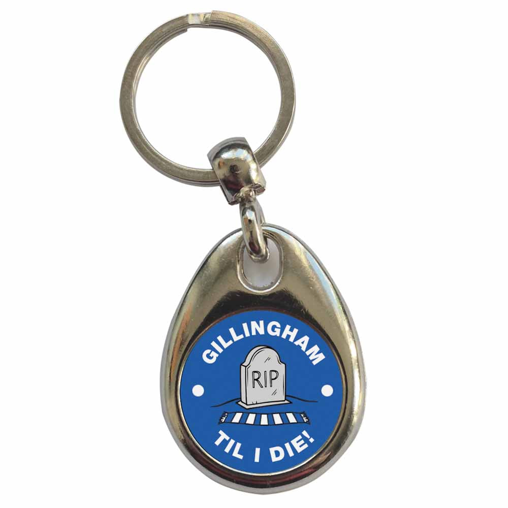 An image of a plain metal keyring