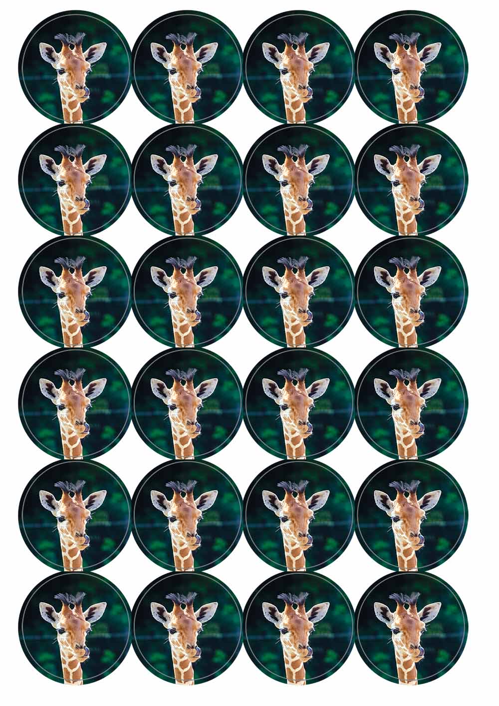A picture of an A4 sheet of matte paper stickers