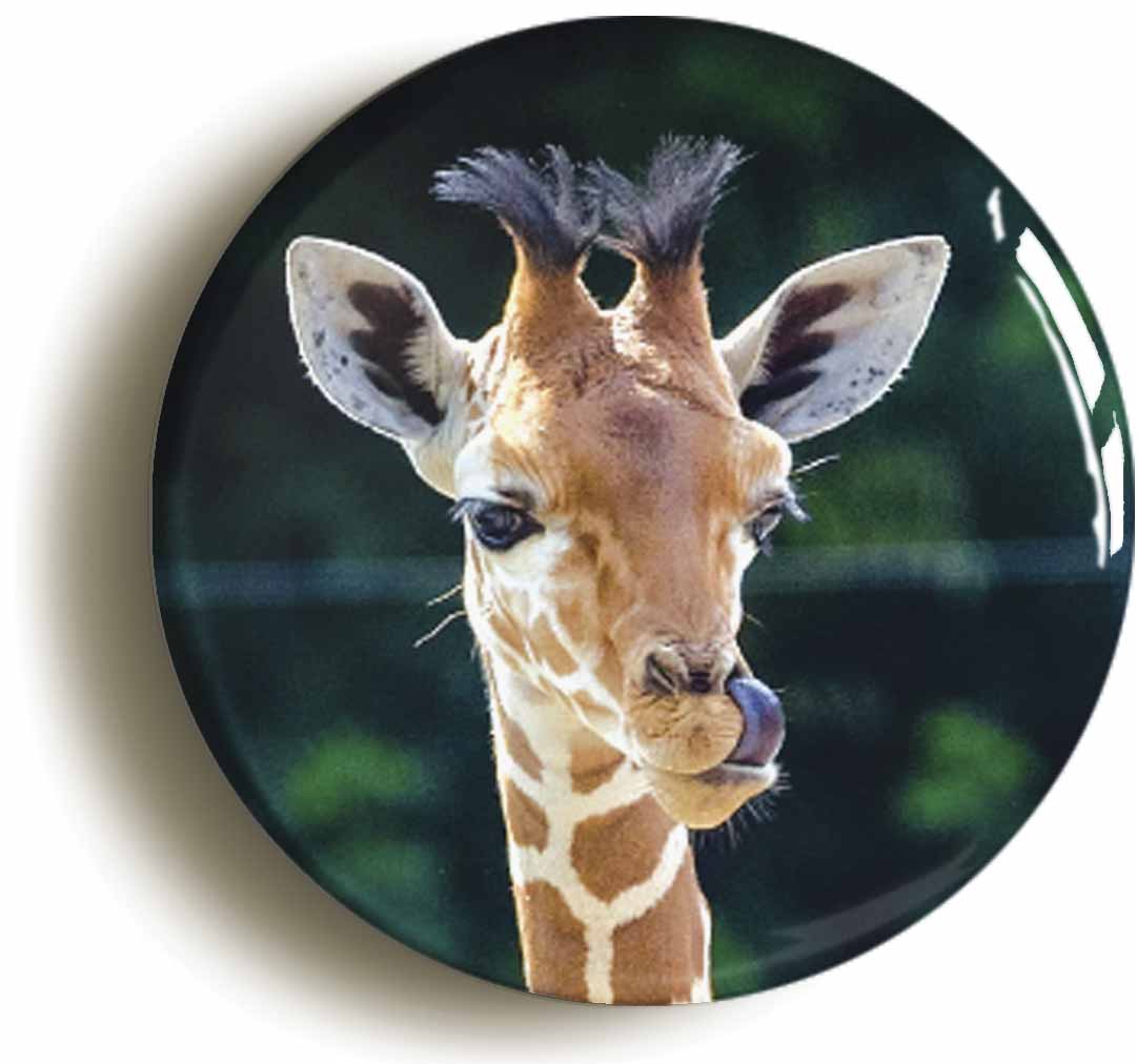 A picture of a fridge magnet