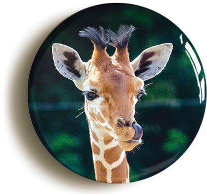 A picture of a fridge magnet