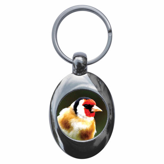 A picture of the front of the product, titled Gold Finch Metal Keyring With Trolley Coin