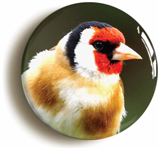 A picture of the front of the product, titled Gold Finch Button Pin Badge