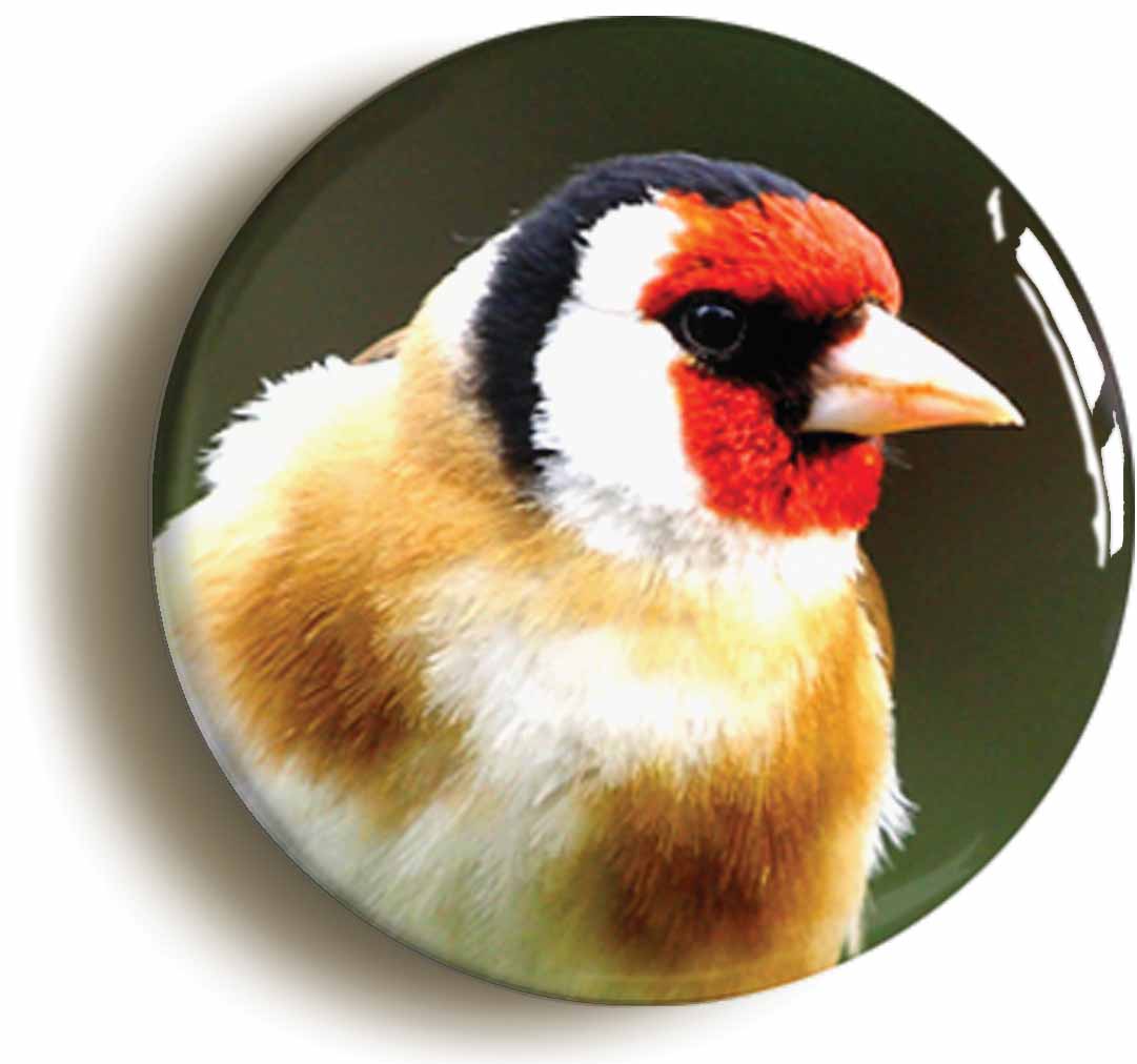 A picture of the front of the product, titled Gold Finch Circular 50mm Fridge Magnet