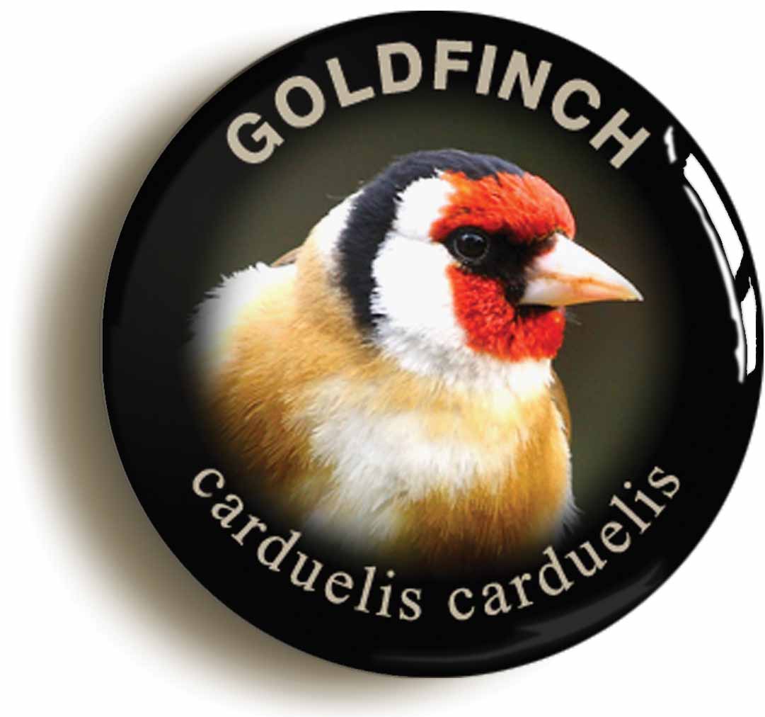 A picture of the front of the product, titled Goldfinch Carduelis Carduelis Bird Watching Button Pin Badge