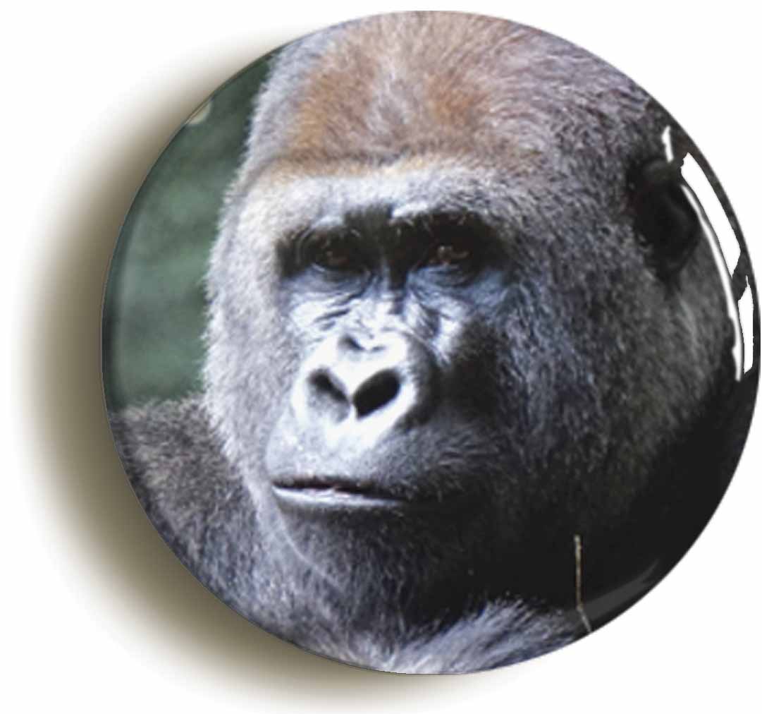 A picture of a fridge magnet