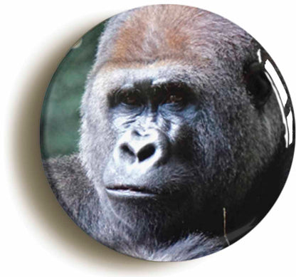A picture of a fridge magnet