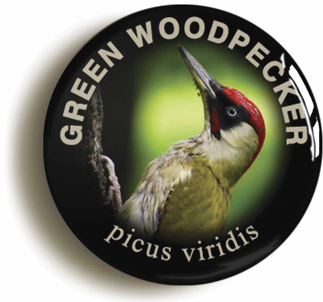 A picture of a button badge