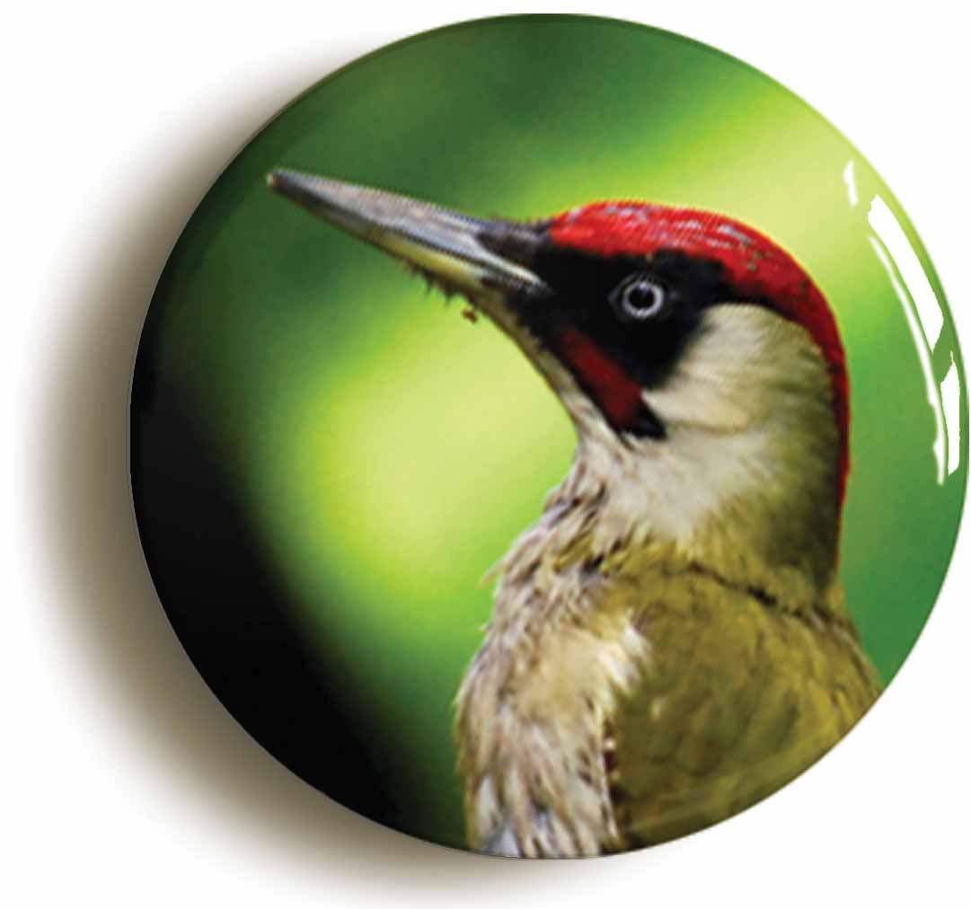 A picture of the front of the product, titled Green Woodpecker Circular 50mm Fridge Magnet
