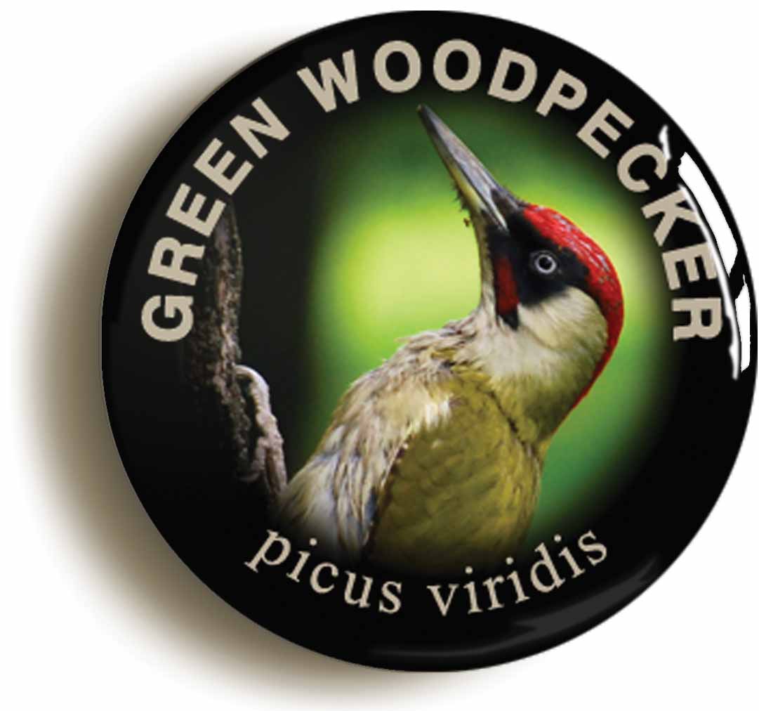 A picture of the front of the product, titled Green Woodpecker Button Pin Badge