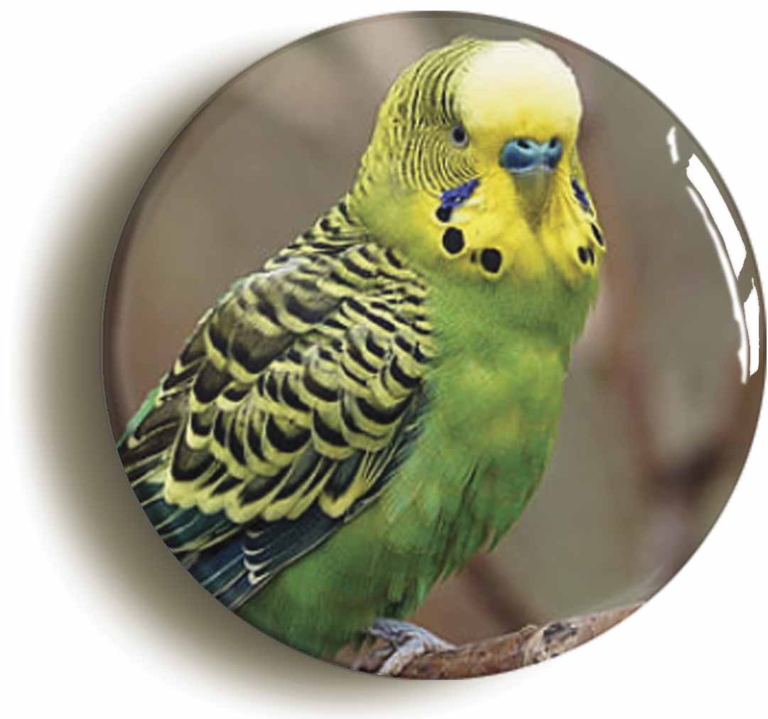 A picture of a fridge magnet