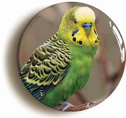 A picture of a button badge