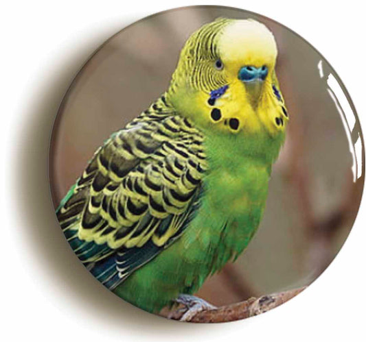 A picture of a fridge magnet