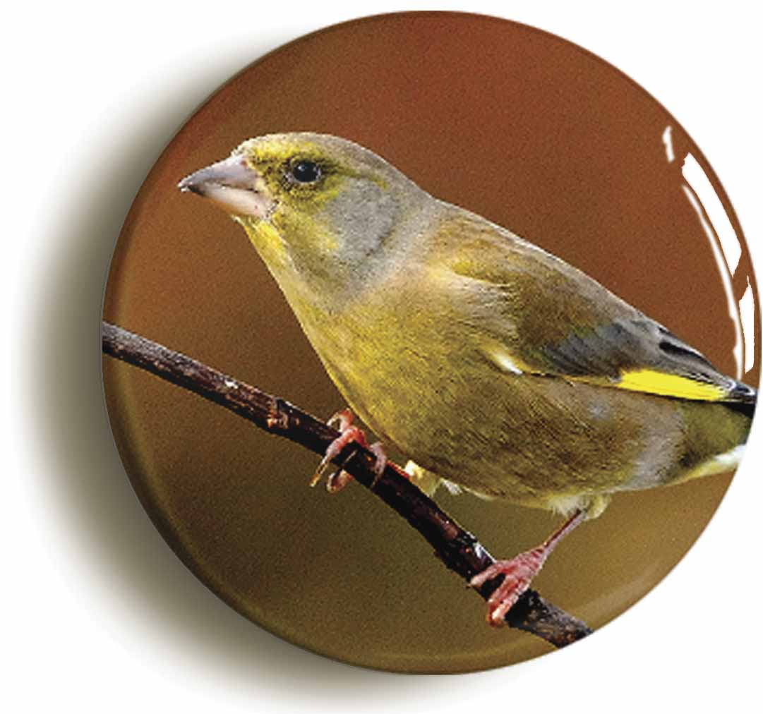A picture of a fridge magnet